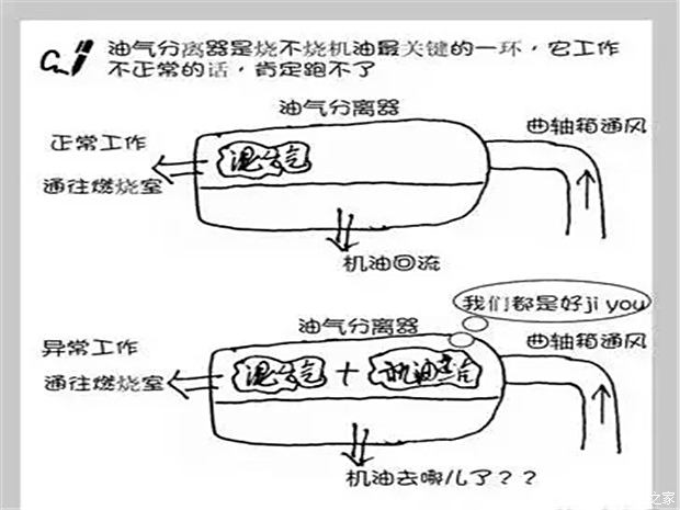 【汽车烧机油的原理让我来告诉你_汉中自强新