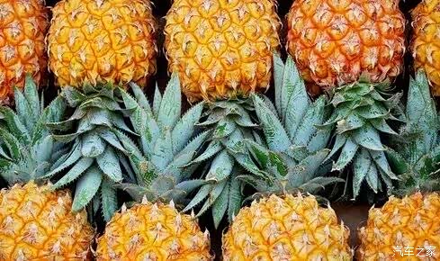 【夏天美白吃这10种水果 素颜也能水当当_商丘