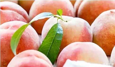 【夏天美白吃这10种水果 素颜也能水当当_商丘