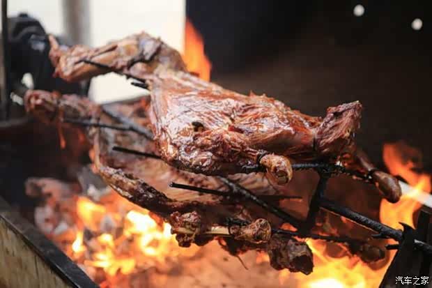 【图】2015年 天道穿越草原之旅活动招募