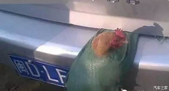 【老王上高速前必带一袋泥巴_汽车新闻】-易车