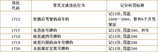 几百条交通违章代码 傻傻分不清楚