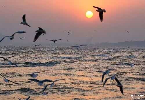 【海鹏义工 关爱小候鸟 这里的暑假不孤单_江