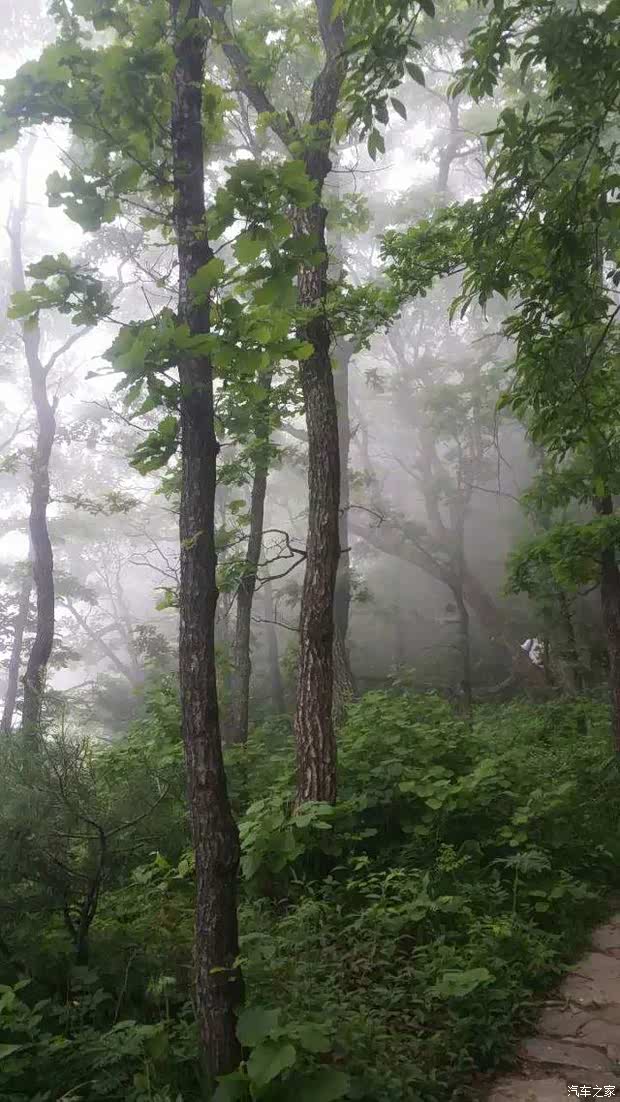 【图】威佳车友 醉美历山大草原 猕猴源两日游