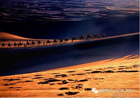 【图】丝路云履之在丝路上打前站的乡党们