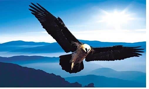 徐州广丰行招聘一场心花路放的换职季