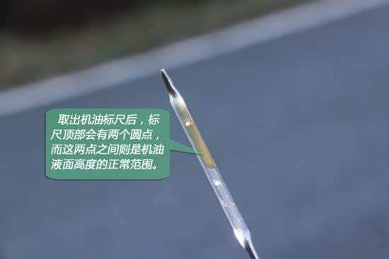 求保养!能用多久!得看你的保养手段!
