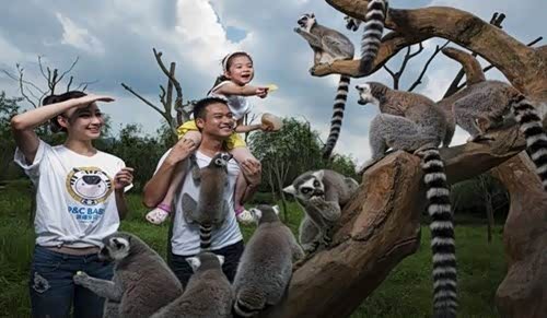 【温州宝诚车主俱乐部杭州亲子自驾游活动_温