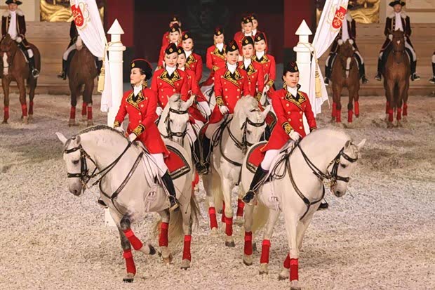 【图】温州联奥奥迪A6L品鉴暨马术体验日!_汽