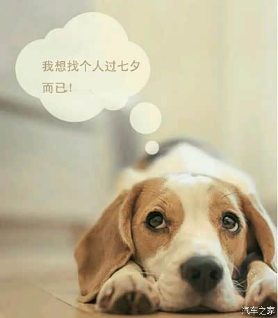 如何过一个人的七夕!